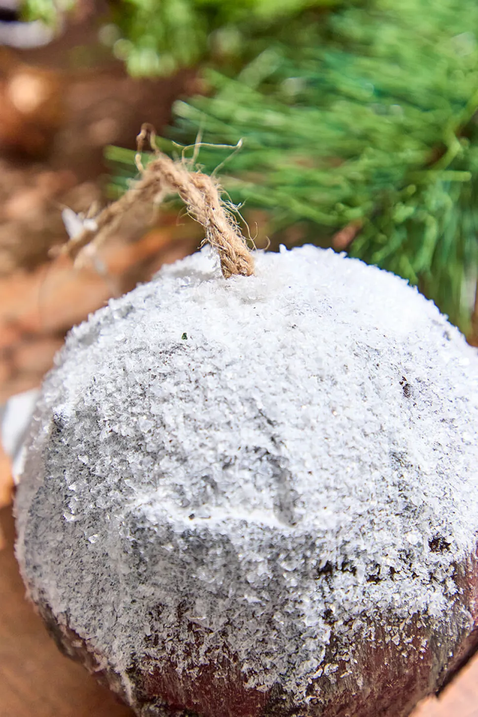 4" Bark with Snow Ball Ornament