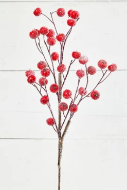 26” Beaded Crabapple Spray - Red