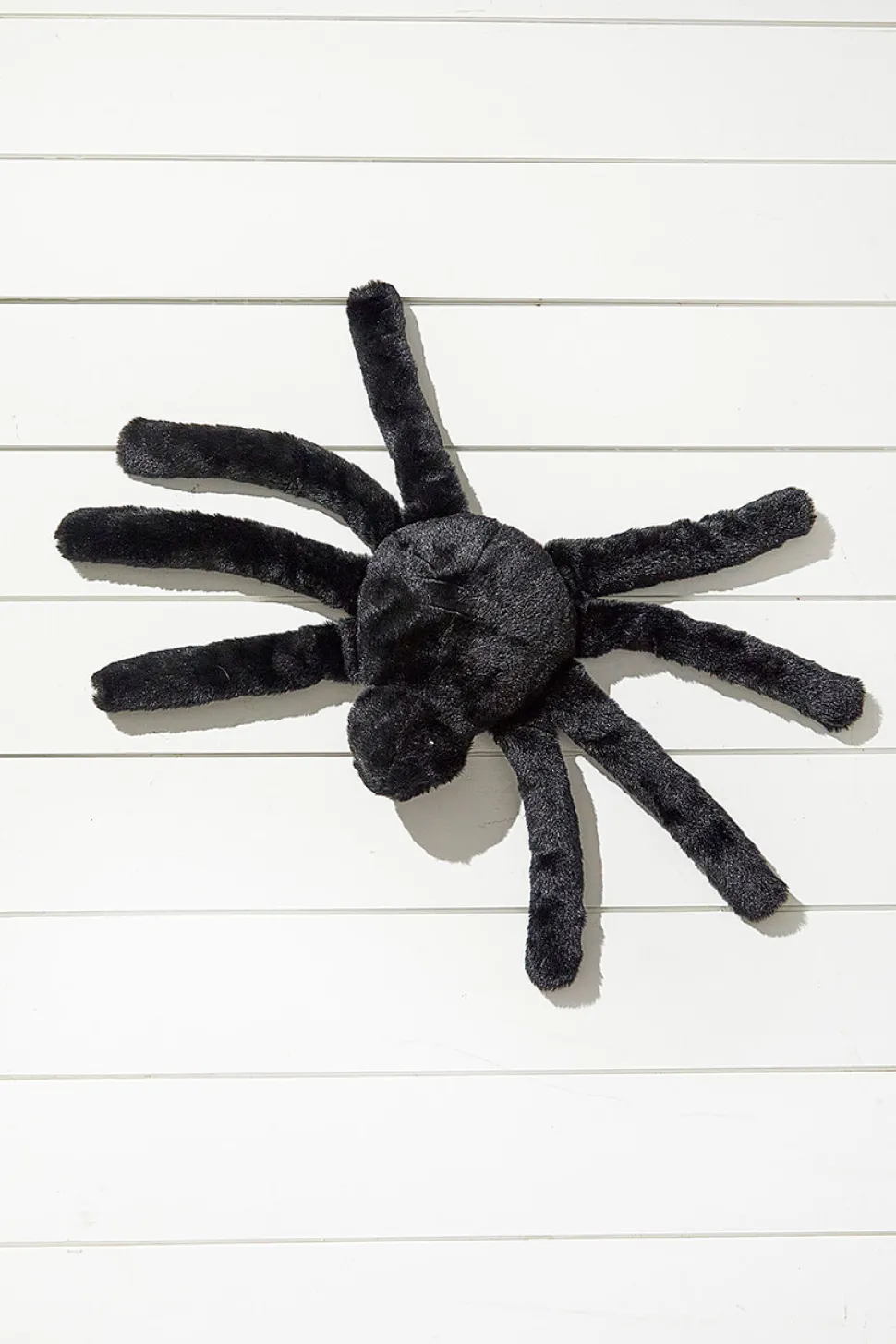 Black Spider Pillow