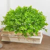 10" Boxwood 1/2 Orb