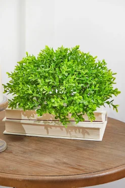 10" Boxwood 1/2 Orb