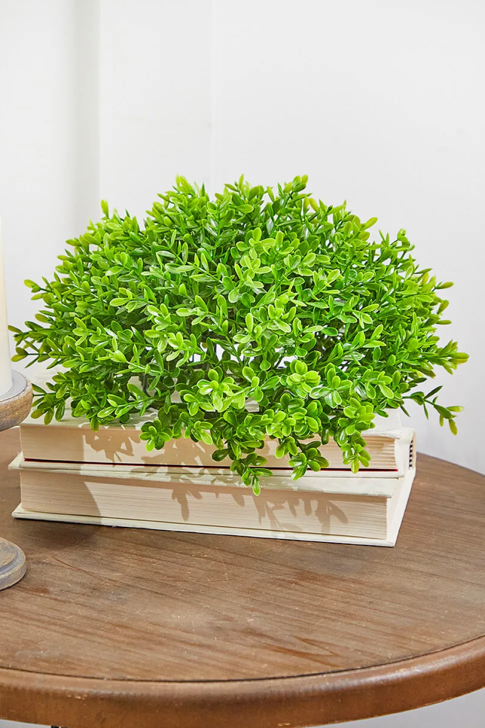 10" Boxwood 1/2 Orb