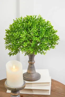 10" Boxwood 1/2 Orb