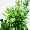 32" Boxwood Spray