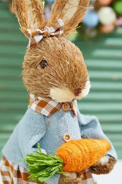 19" Brown Gingham Easter Bunny