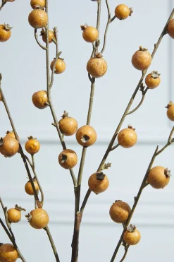 30” Butternut Pomegranate Christmas Spray (Weather Resistant)