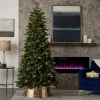 9' Canyon Ranch Fir Tree with 620 Warm White LED Lights