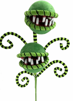 26