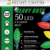 C9 Faceted Multi 50 LED Light Set