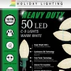 C9 Faceted Warm White 50 LED Light Set