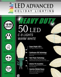 C9 Faceted Warm White 50 LED Light Set