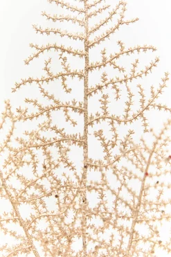 35" Champagne Glitter Fern Spray