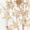 31" Champagne Star Spray