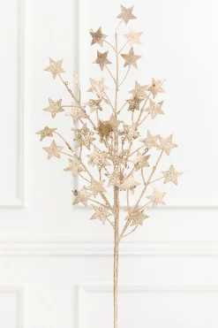 31" Champagne Star Spray