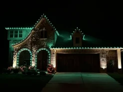 C9 Platinum Elite LED SMD Bulb (25 bulbs/bag) - Faceted, Green