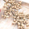 29” Crabapple Spray - Griege