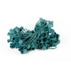 C9 Socket Cord - 100' 6" Spacing