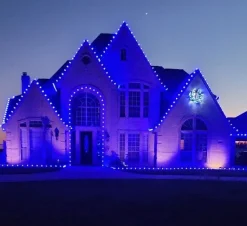 C9 Wonderful LED SMD Bulb (25 bulbs/bag) - Faceted, Blue