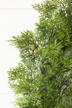 18" Cypress Berry Wreath