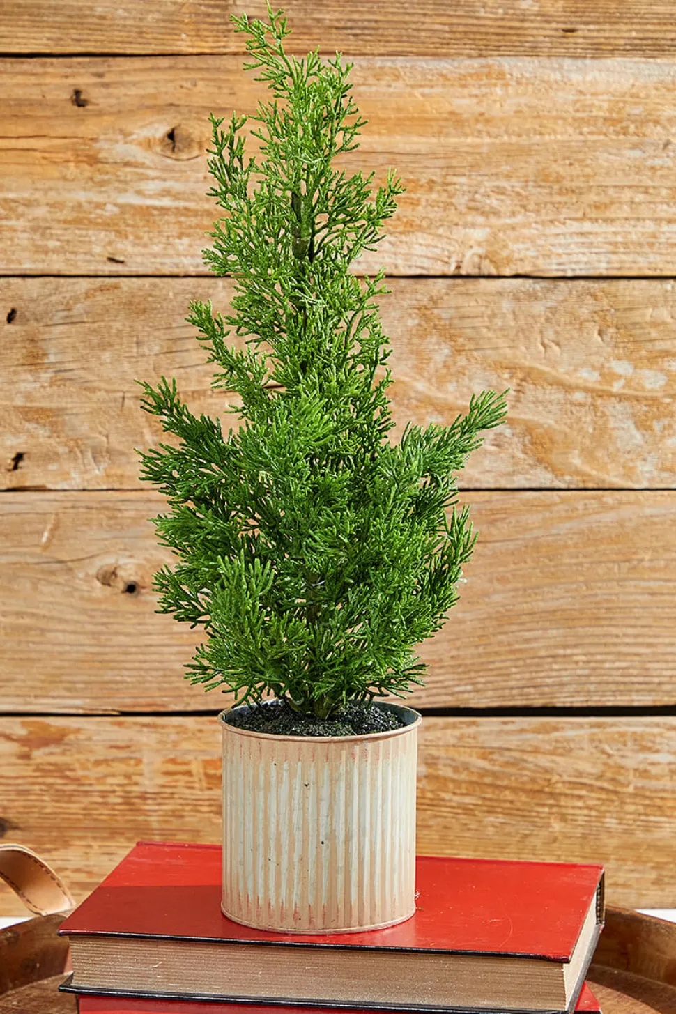 18" Cypress Tree in Tin Pot