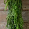 48” Cyprus/ Norfolk Pine Garland