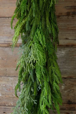 48” Cyprus/ Norfolk Pine Garland
