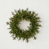 24" Dandan Green Plug-In Wreath with Warm White LED Lights