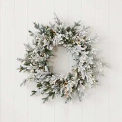 24" Dandan Plug-In Flocked Wreath with Warm White LED Lights