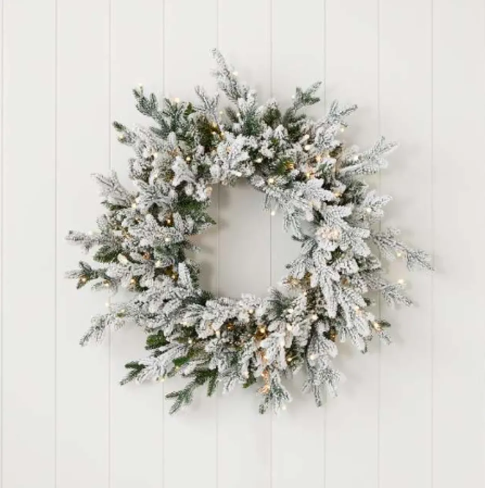 24" Dandan Plug-In Flocked Wreath with Warm White LED Lights
