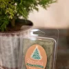 Decorator's Warehouse Piney Woods Wax Melt