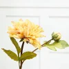 21" Dried Dahlia with Bud Stem