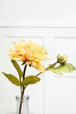 21" Dried Dahlia with Bud Stem