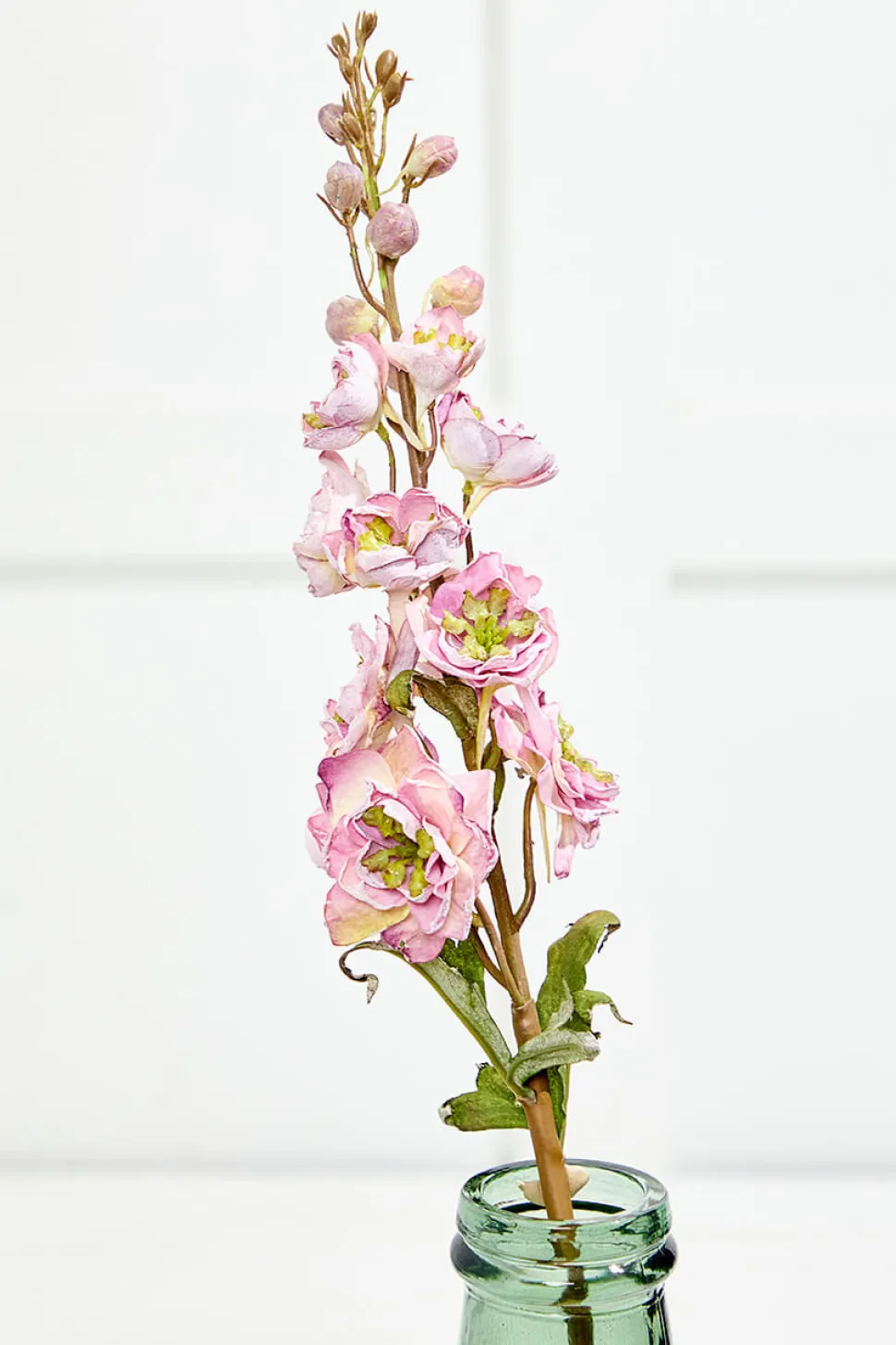 27" Dried Delphinium Stem