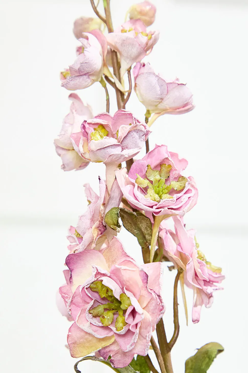 27" Dried Delphinium Stem