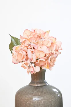22" Dried Grand Hydrangea Stem - Pink