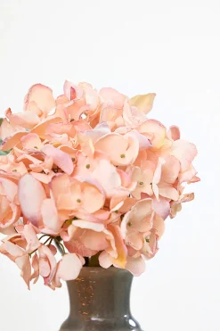 22" Dried Grand Hydrangea Stem - Pink