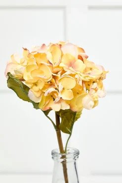 22" Dried Grand Hydrangea Stem - Yellow