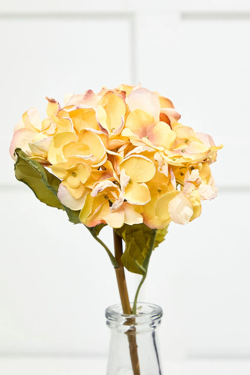 22" Dried Grand Hydrangea Stem - Yellow