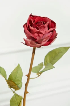 21" Dried Red Rose Stem