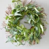 22" Eucalyptus Wreath