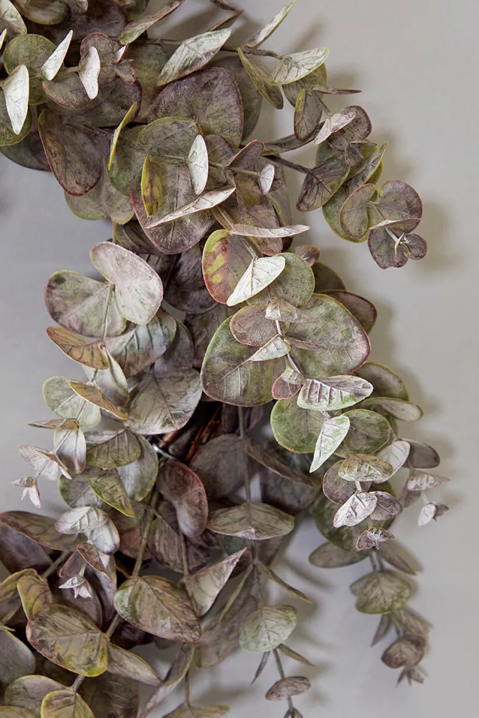 24" Eucalyptus Wreath