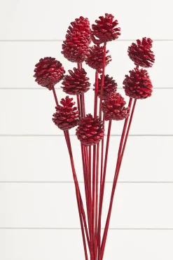 21" Euro Cone Pick - Red