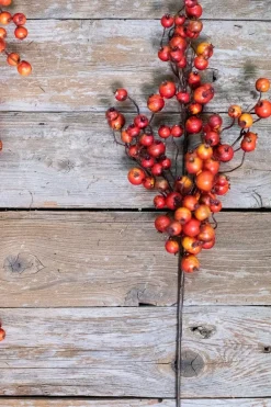 30” Fall Crabapple Spray