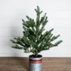 24” Farmhouse Potted Snowy Pine Tree