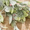17" Flocked Mistletoe Christmas Bush