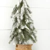 18” Frosted Downswept Pine In Burlap Pot