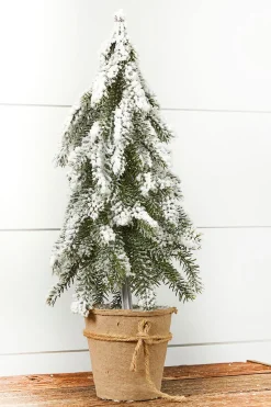 18” Frosted Downswept Pine In Burlap Pot