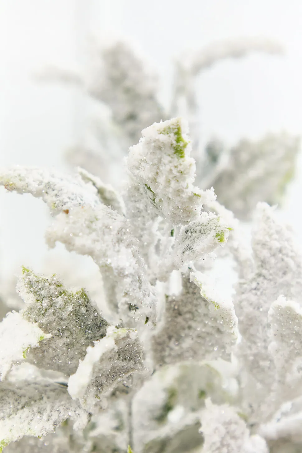 19" Frosted Holly Bush