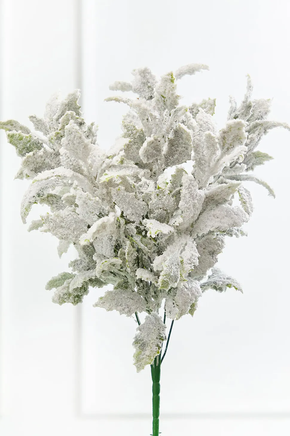 19" Frosted Holly Bush