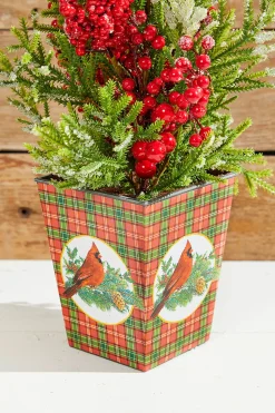 26" Frost Weatherproof Berry Mini Spruce Tree in Pot